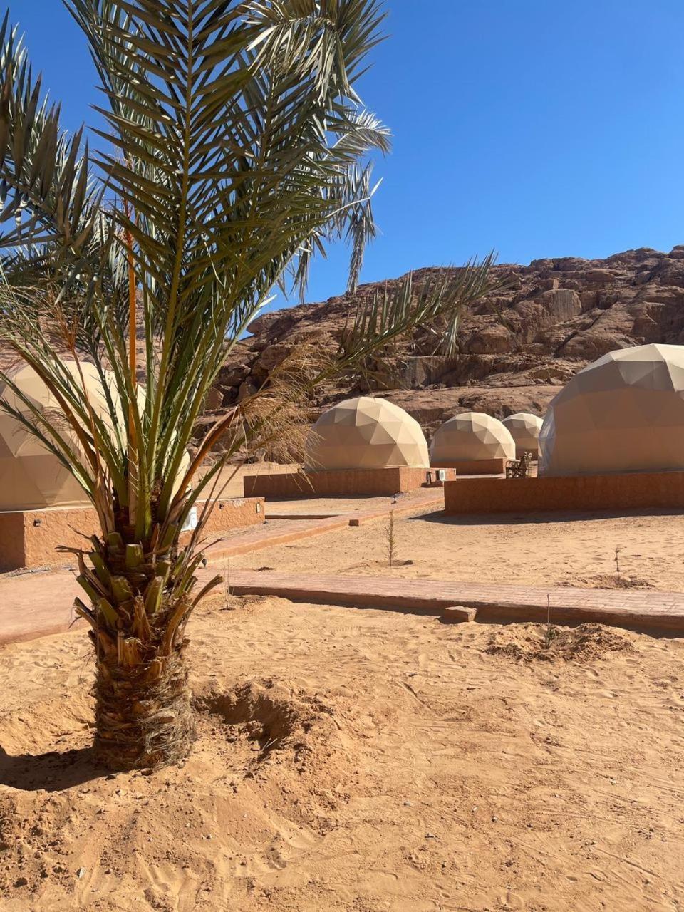 Wadi Rum Aviva camp Exterior foto